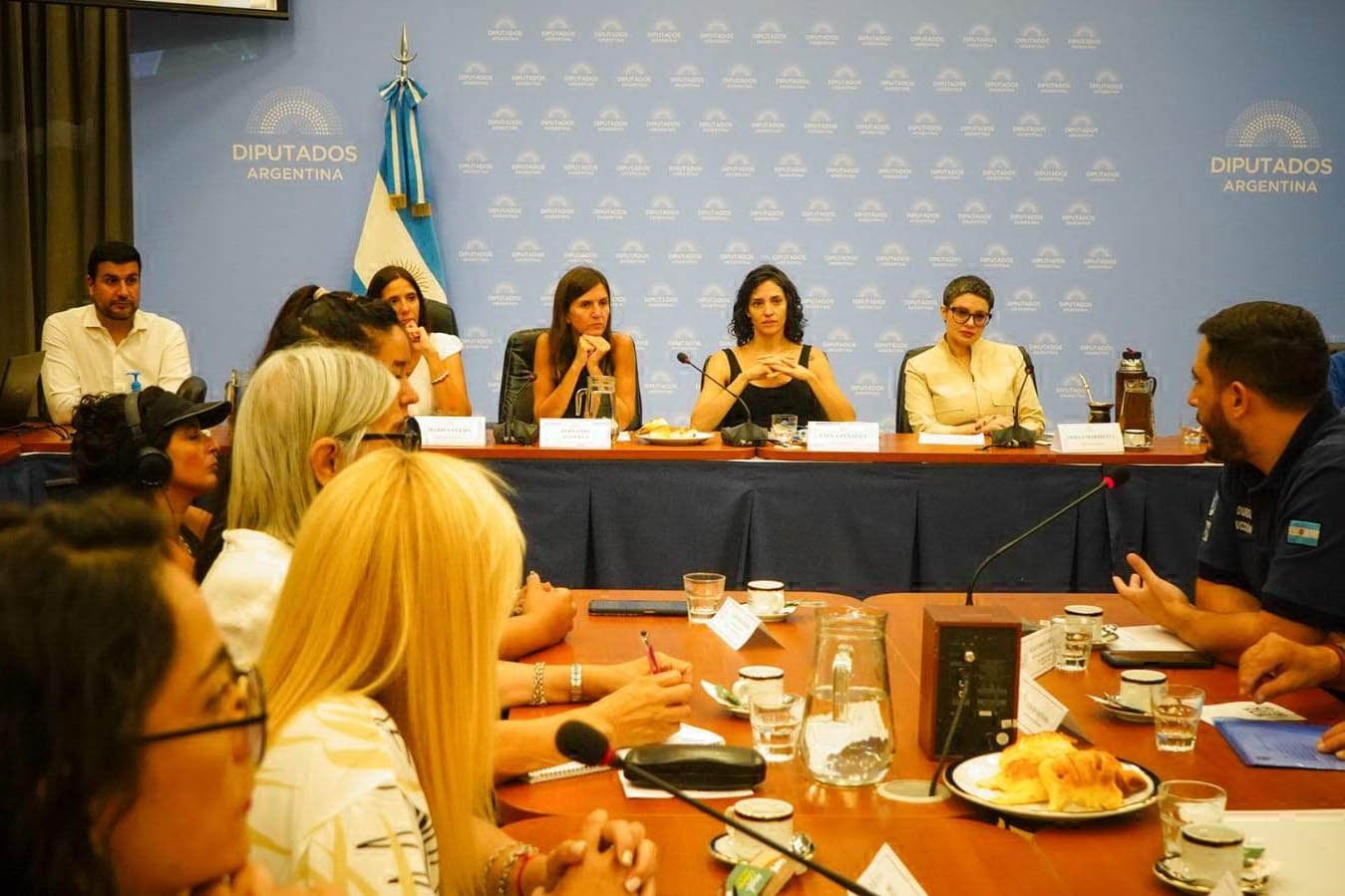 La audiencia pública en el anexo de la Cámara Baja estuvo organizada por las diputadas Gisela Marziotta y Paula Penacca.