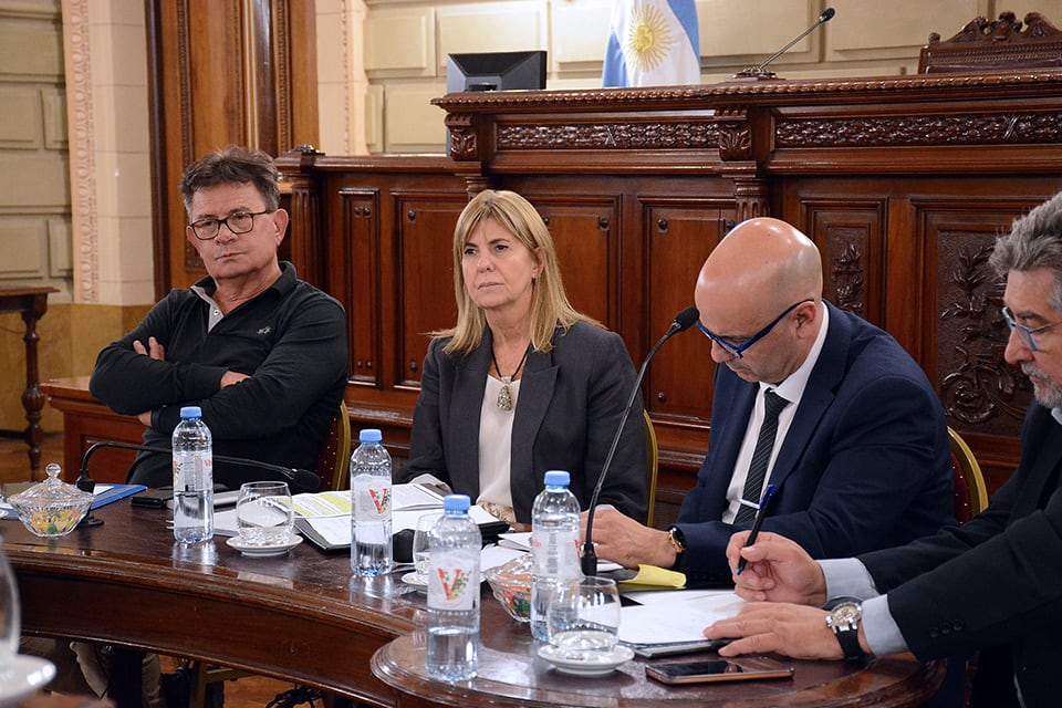 Rodenas y Brilloni en la exposición de ayer ante los senadores