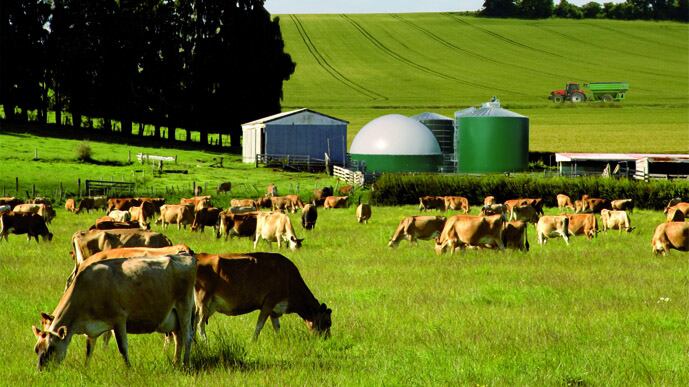 El gobierno francés debió comprometerse ante los productores a que "no se firmará" el tratado si no se garantizan las condiciones de producción del ganado.