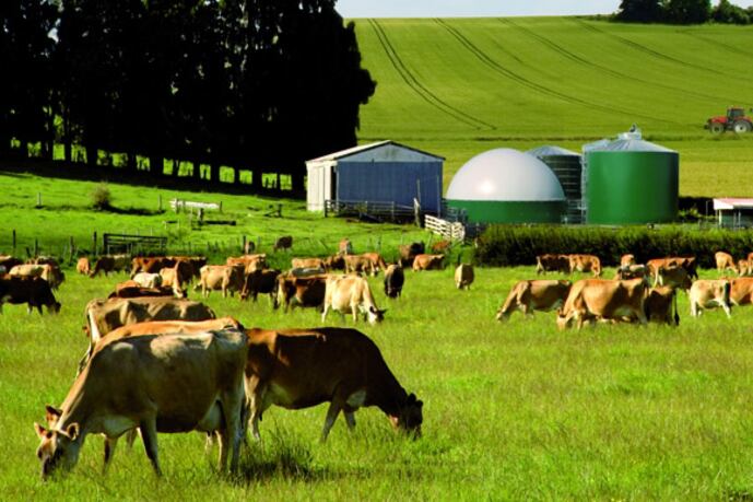 El gobierno francés debió comprometerse ante los productores a que "no se firmará" el tratado si no se garantizan las condiciones de producción del ganado.