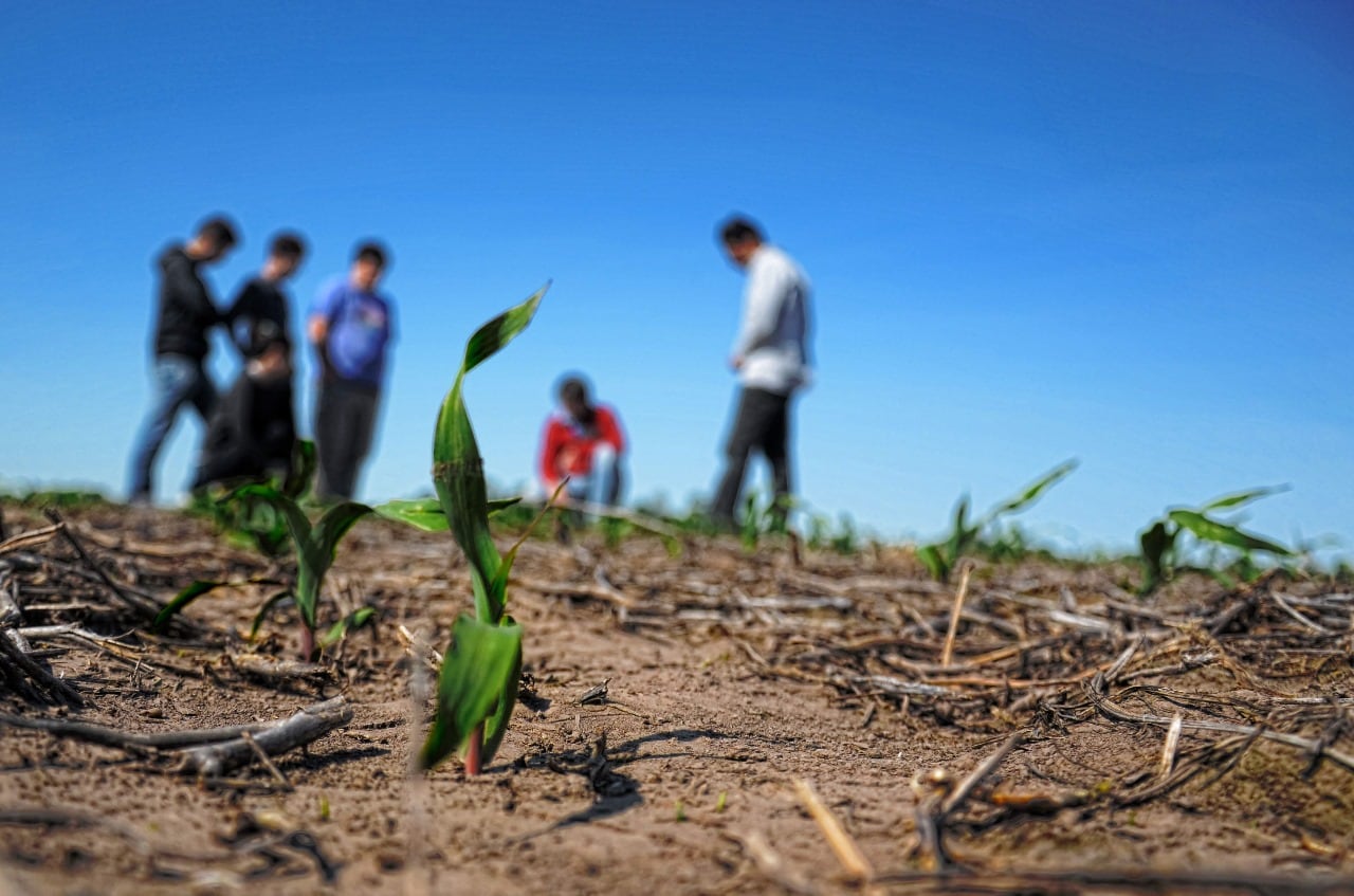 Dos tercios de los suelos del país presentan algún tipo de degradación.