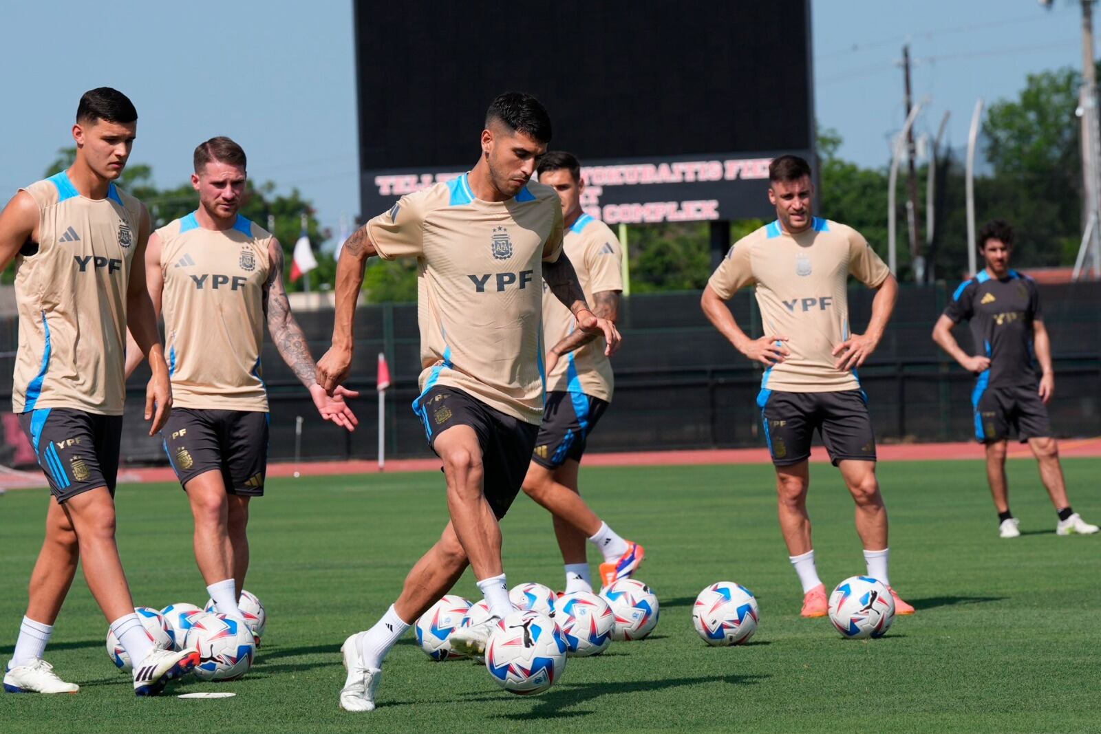 Palacios maneja la pelota ante la mirada de Carboni, Mac Allister y Tagliafico