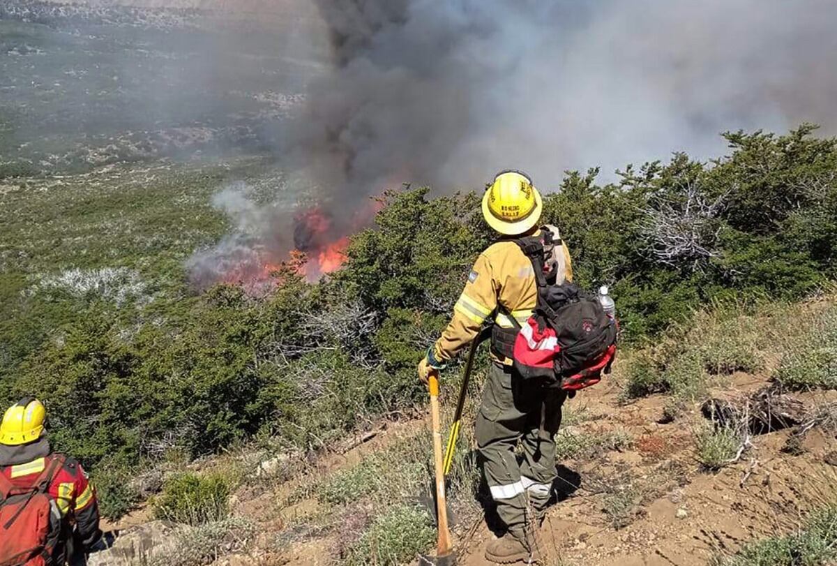 En 2023, se calcula que se deforestaron 126 mil hectáreas de tierra en Argentina.