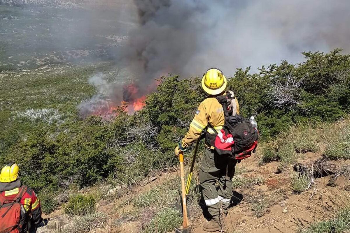 En 2023, se calcula que se deforestaron 126 mil hectáreas de tierra en Argentina.