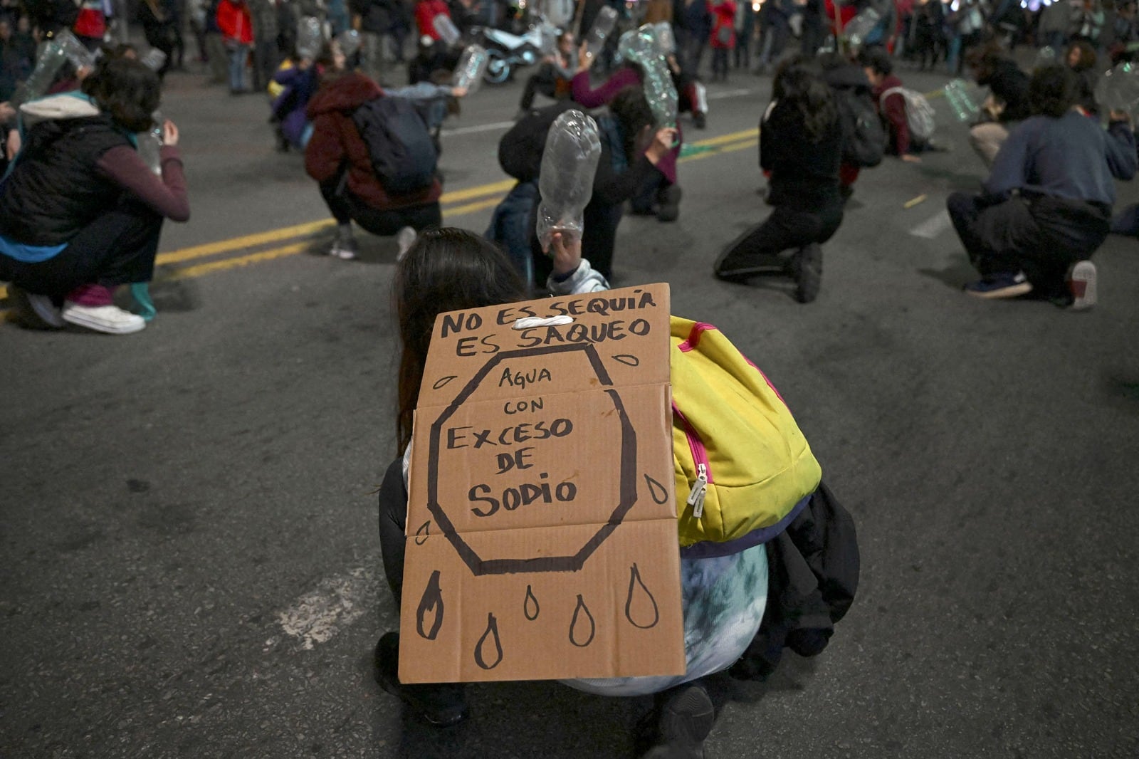 Las ONG denuncian que hay mucha agua para las pasteras y poca para la gente.