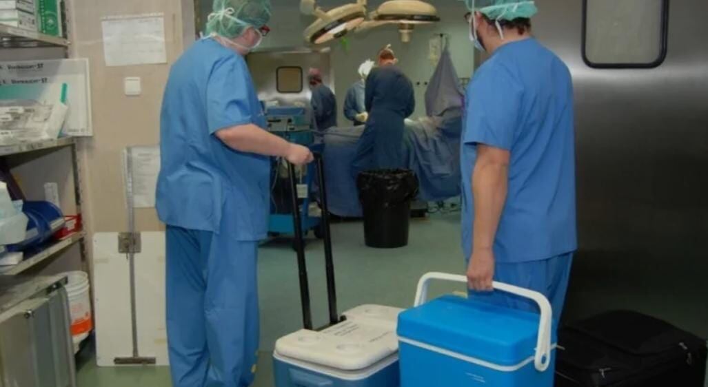 Proceso de trasplante.