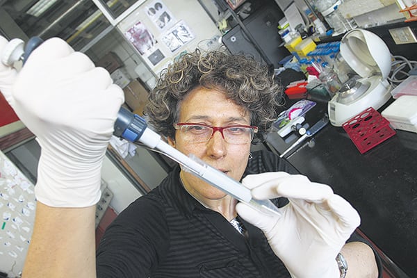 Andrea Gamarnik, responsable del desarrollo presentado ayer.