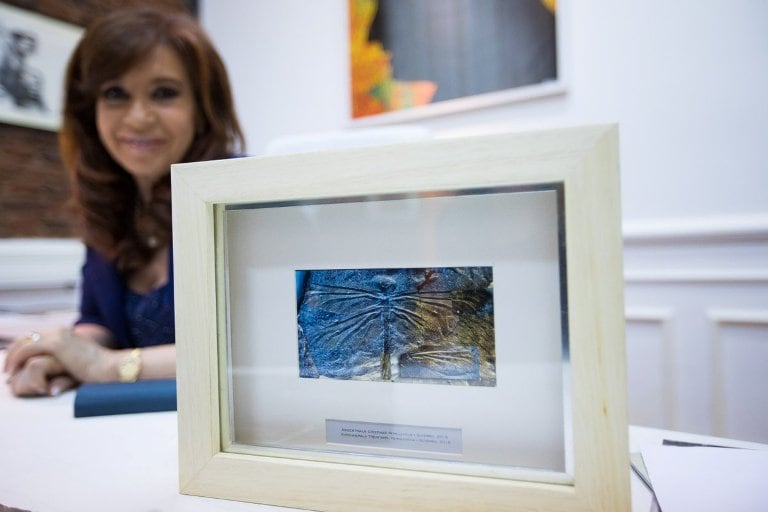 CFK junto a una imagen del insecto que lleva su nombre. 