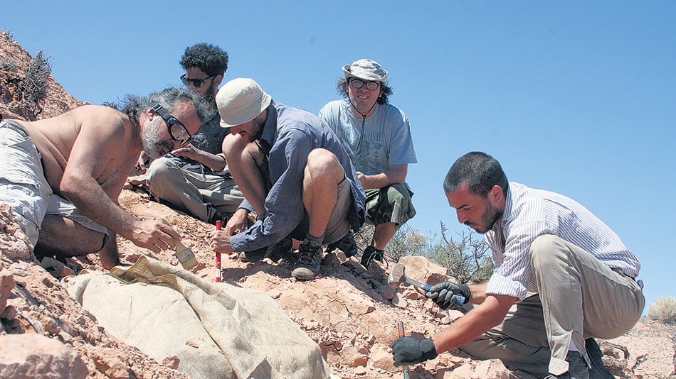 Sebastián Apesteguía con el equipo de investigadores, hurgando huesos en el desierto.