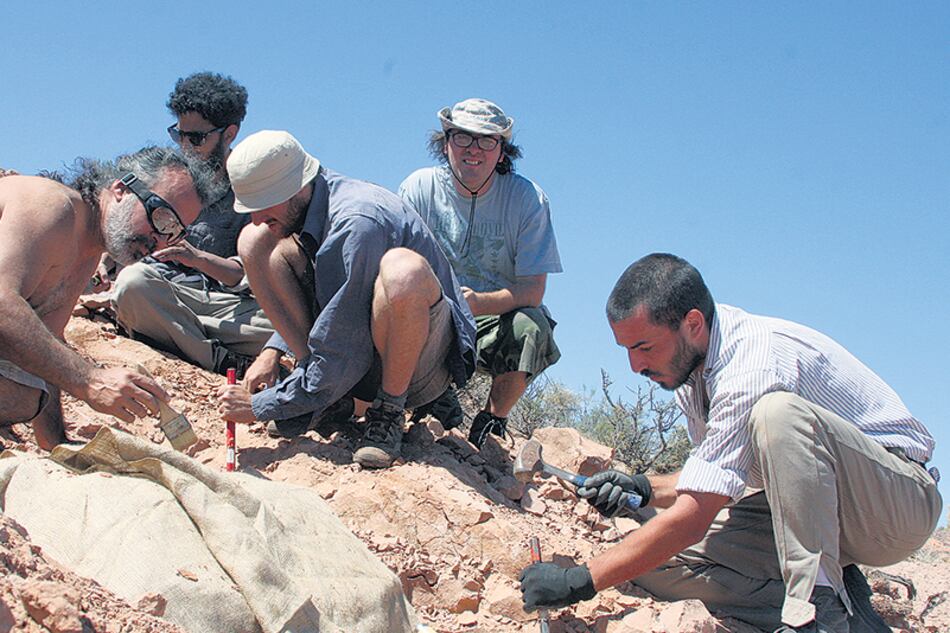 Sebastián Apesteguía con el equipo de investigadores, hurgando huesos en el desierto.