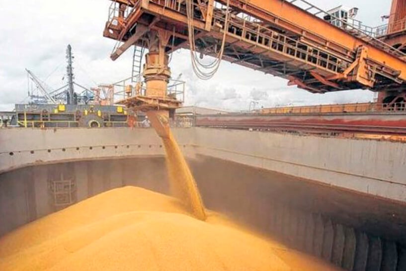 Las exportaciones están en su mayor nivel desde 2013.