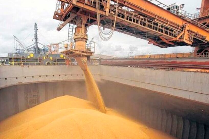 Las exportaciones están en su mayor nivel desde 2013.