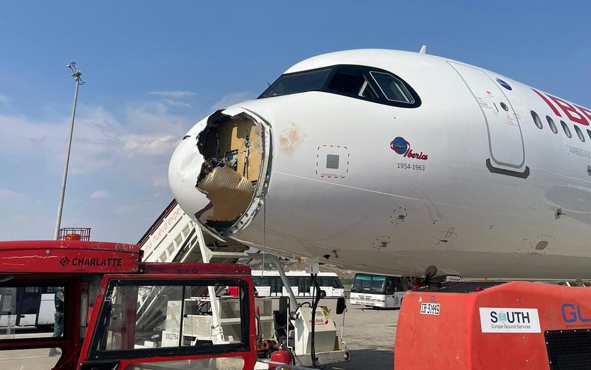 Aunque los choques con aves (bird strikes) son eventos relativamente frecuentes en la aviación civil, rara vez generan consecuencias graves