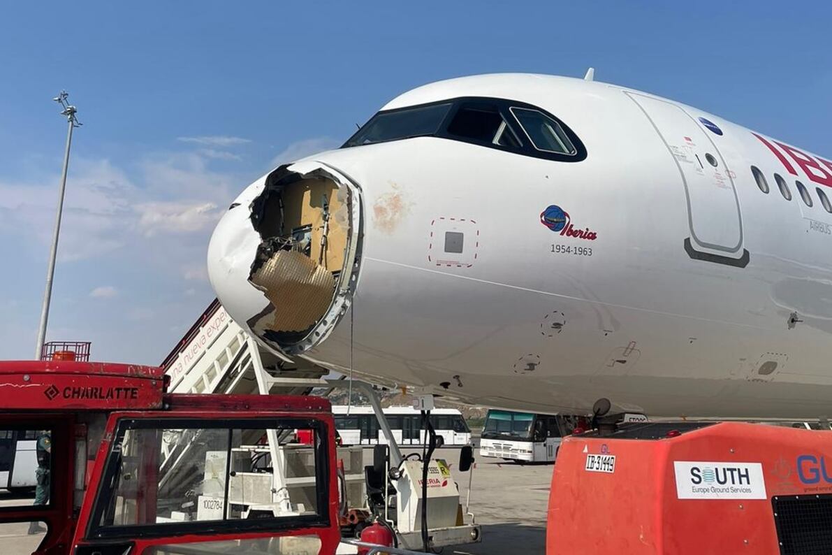 Aunque los choques con aves (bird strikes) son eventos relativamente frecuentes en la aviación civil, rara vez generan consecuencias graves