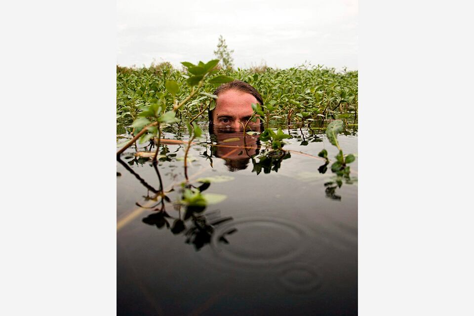 Un video de Nacho Estepario forma parte de la oferta.