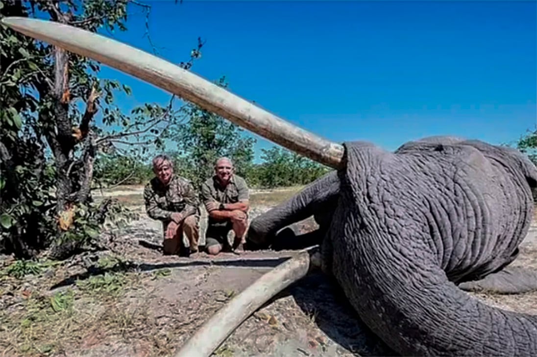 Tras la difusión de la noticia, Kachelhoffer aclaró que mientras participaba de la cacería “no estaba pensando” en las críticas que provocaría su aventura.