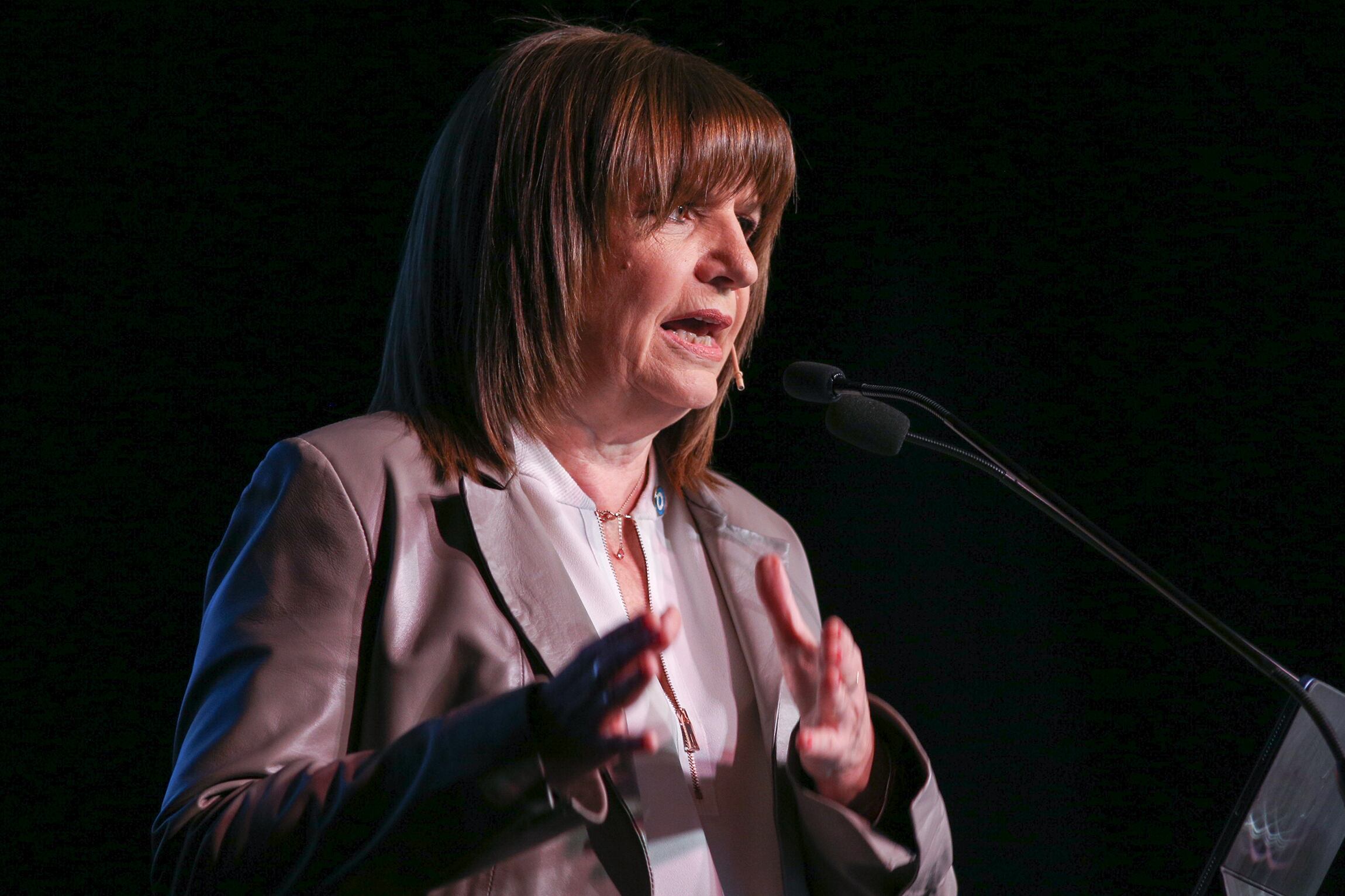 Mega endeudamiento con el FMI y lluvia de inversiones, las "novedades" de Patricia Bullrich