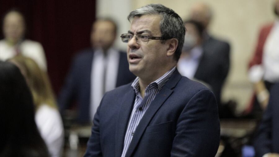 El jefe del bloque del oficialismo en la Cámara de Diputados, Germán Martínez, dijo que "las distintas miradas no significan una división".