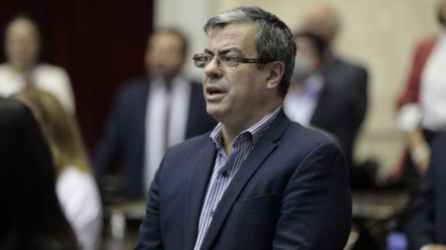 El jefe del bloque del oficialismo en la Cámara de Diputados, Germán Martínez, dijo que "las distintas miradas no significan una división".