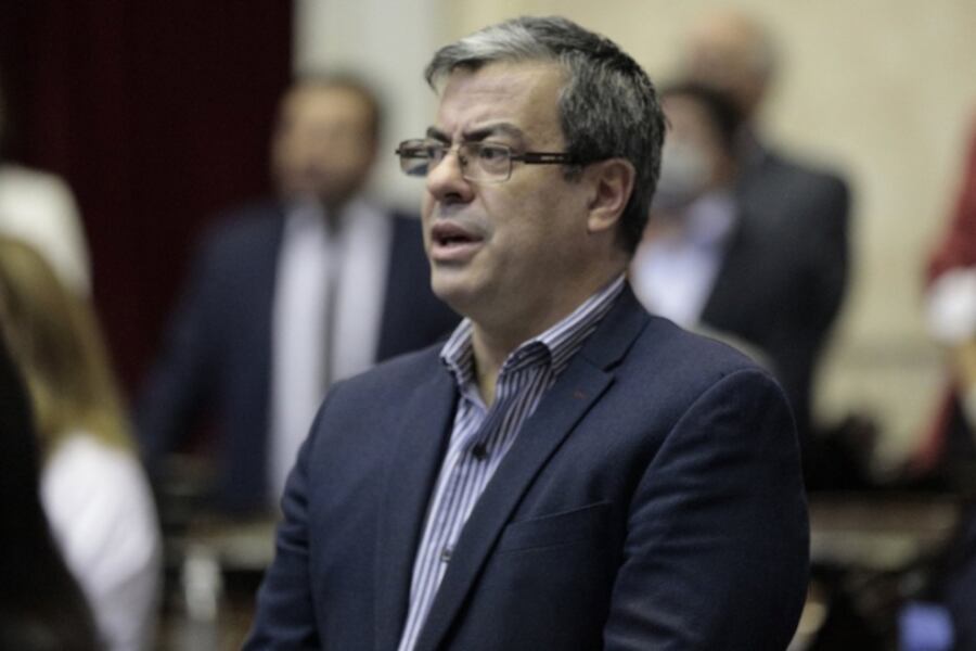 El jefe del bloque del oficialismo en la Cámara de Diputados, Germán Martínez, dijo que "las distintas miradas no significan una división".