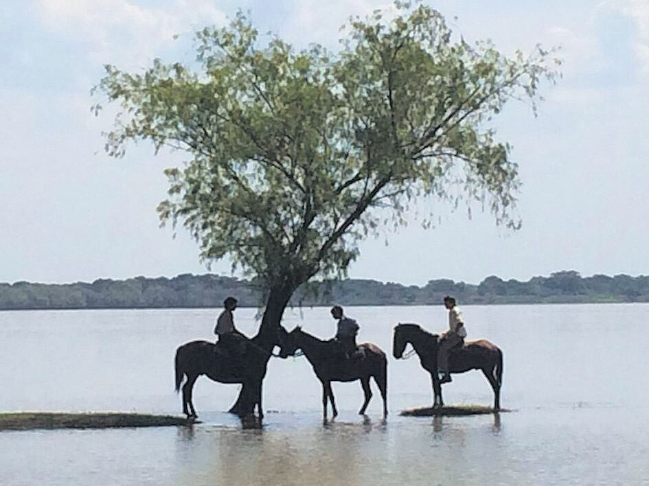 Encina utiliza la voz en off como una suerte de voz histórica, de monólogo interior.