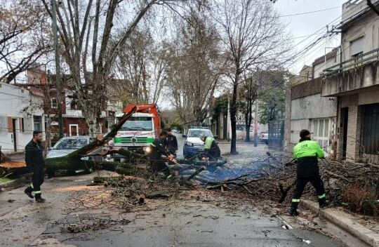 En Rosario trabajaron 300 operarios.