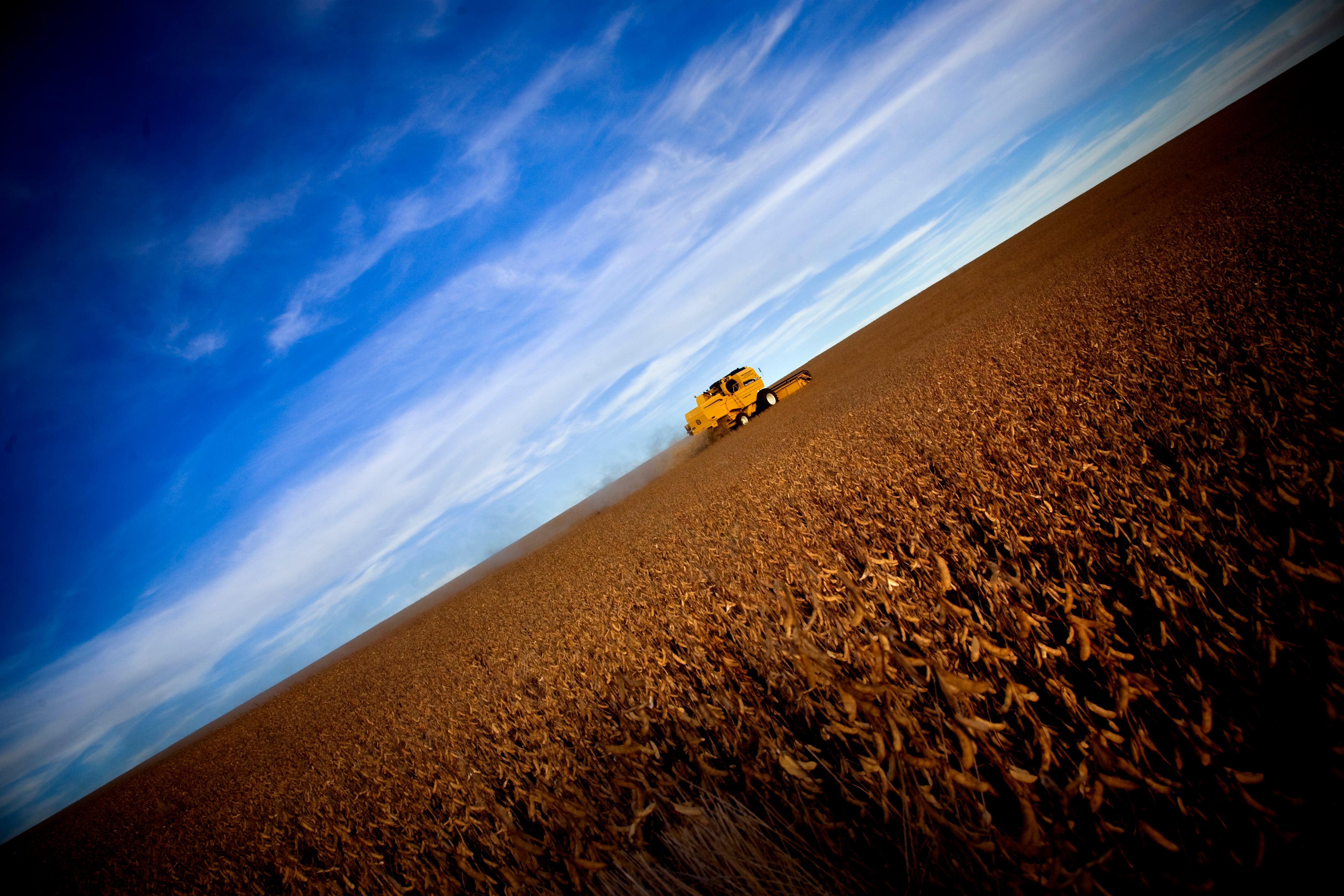 El sector agropecuario "¿no debería asumir con más entereza la imposición de mayores gravámenes por su ventaja productiva natural?", interpela Daniel E. Novak.