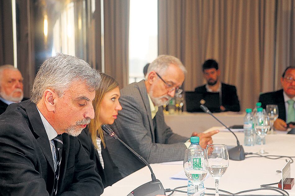 Pablo Chargoñia, del Observatorio Luz Ibarburu, en la audiencia que se realizó ayer en Buenos Aires.
