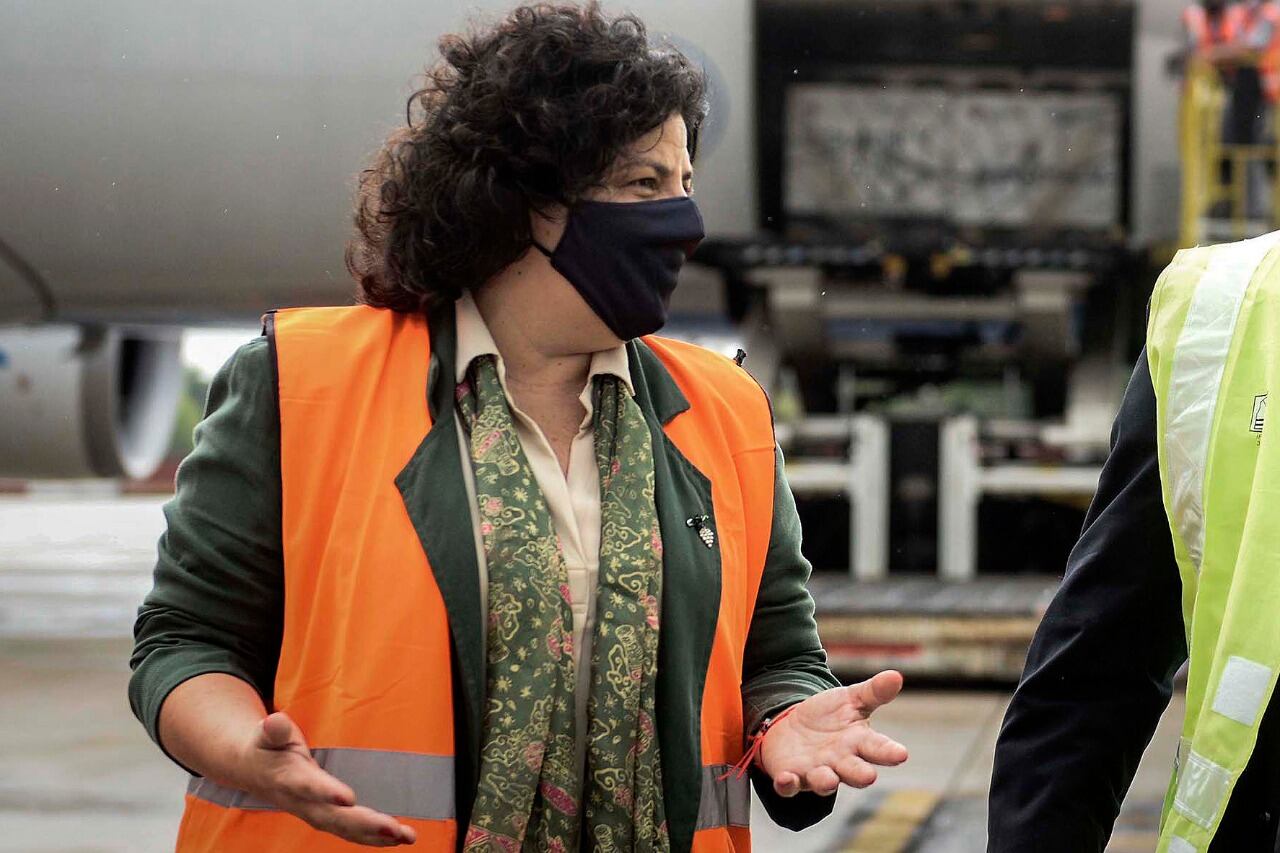 La ministra Carla Vizzotti encabeza la Comisión Federal de Salud.