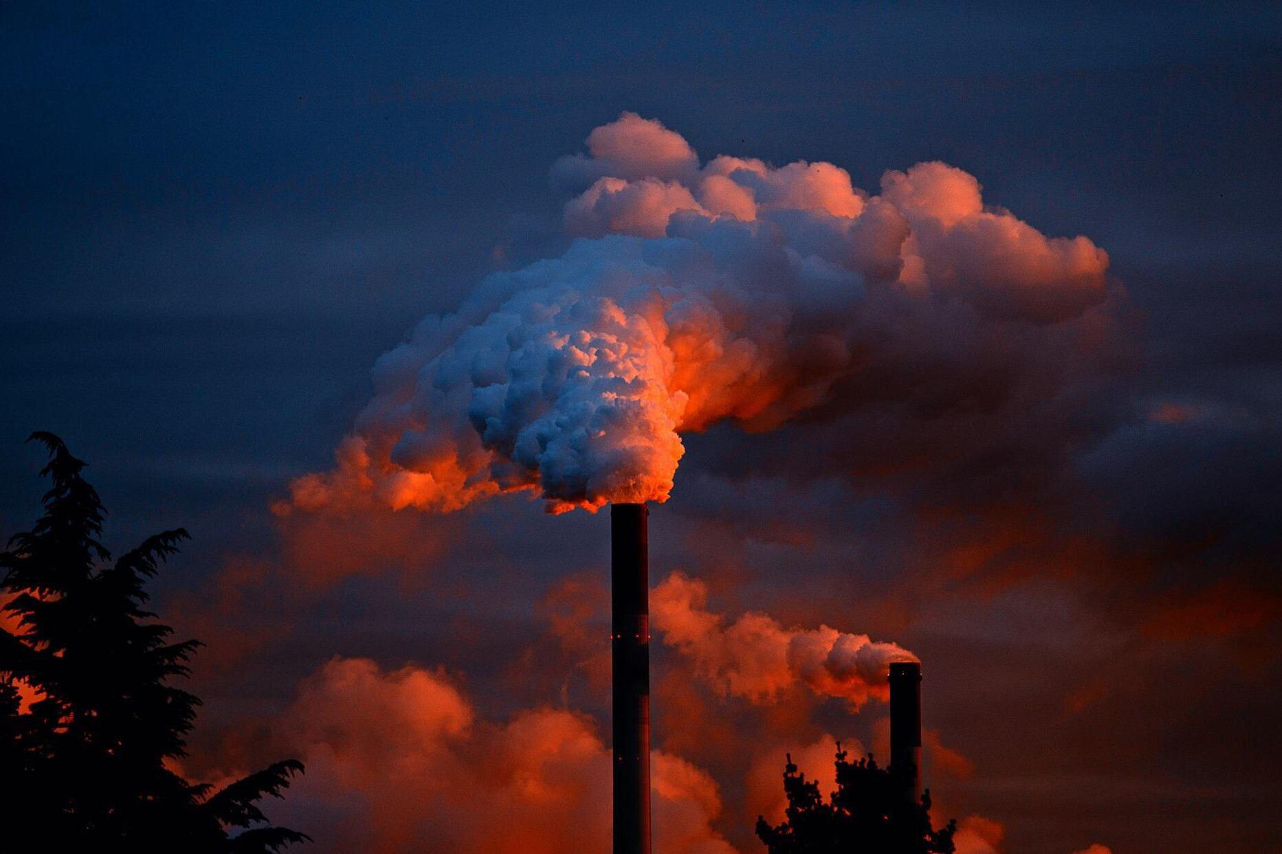 "El número de muertes causadas por la contaminación rivaliza con las causadas por el tabaco", asegura el autor del estudio.