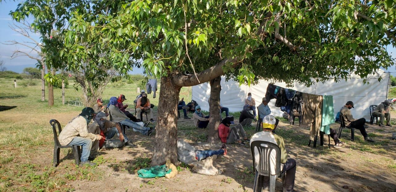 Imagen del año pasado de la cocecha.