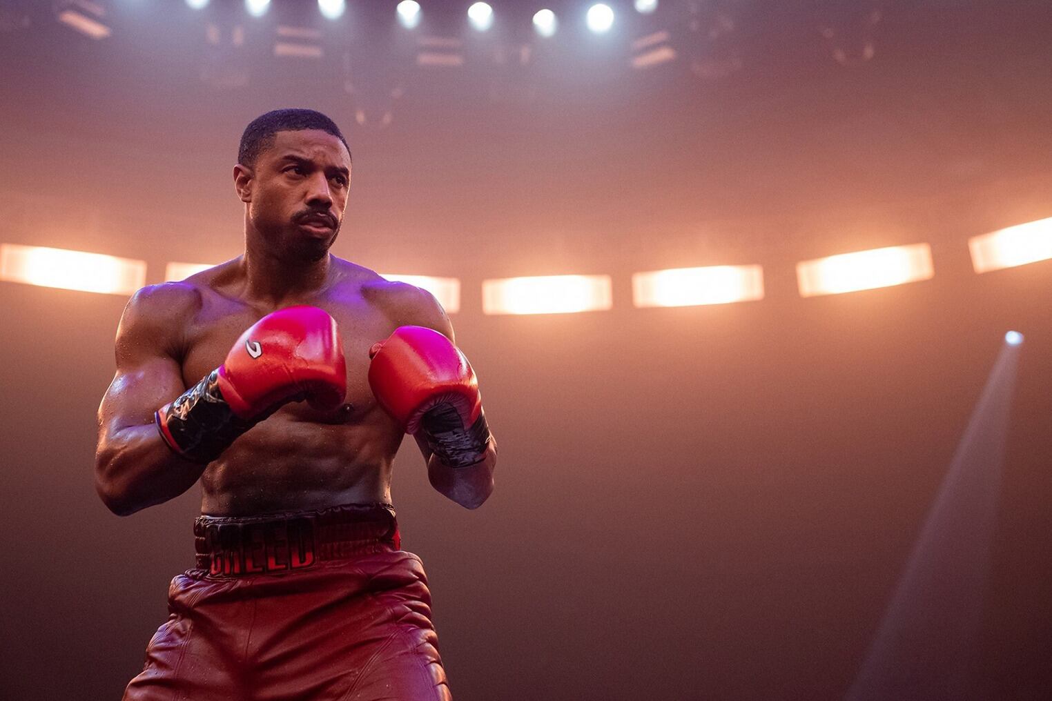 Algunos antiguos conflictos de Rocky Balboa se repiten en Adonis Creed.