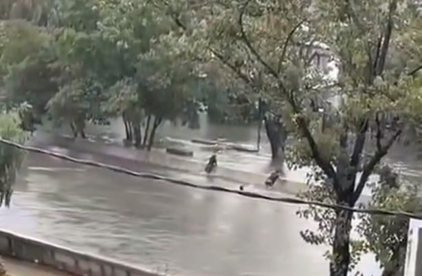 En la zona se desplegó un operativo de Defensa Civil y Bomberos Voluntarios para dar con el adolescente.