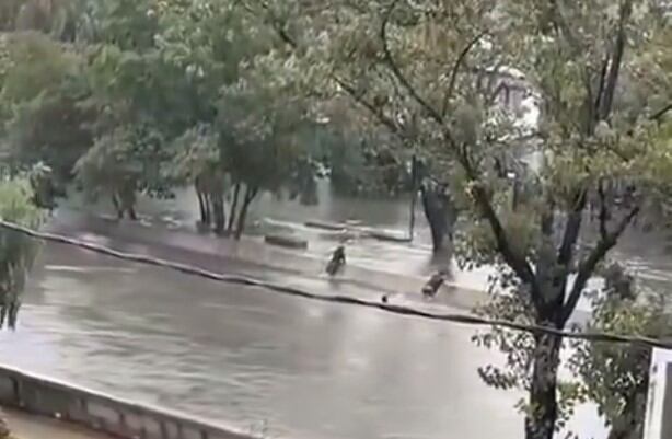 En la zona se desplegó un operativo de Defensa Civil y Bomberos Voluntarios para dar con el adolescente.
