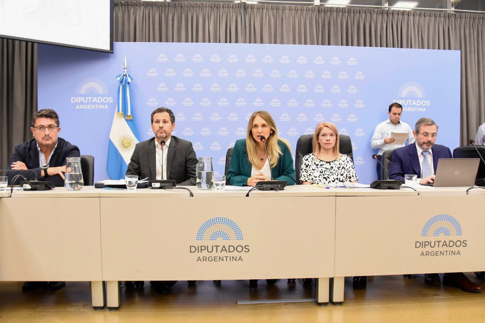 El titular de Anses, Mariano de los Heros habló ante los diputados.