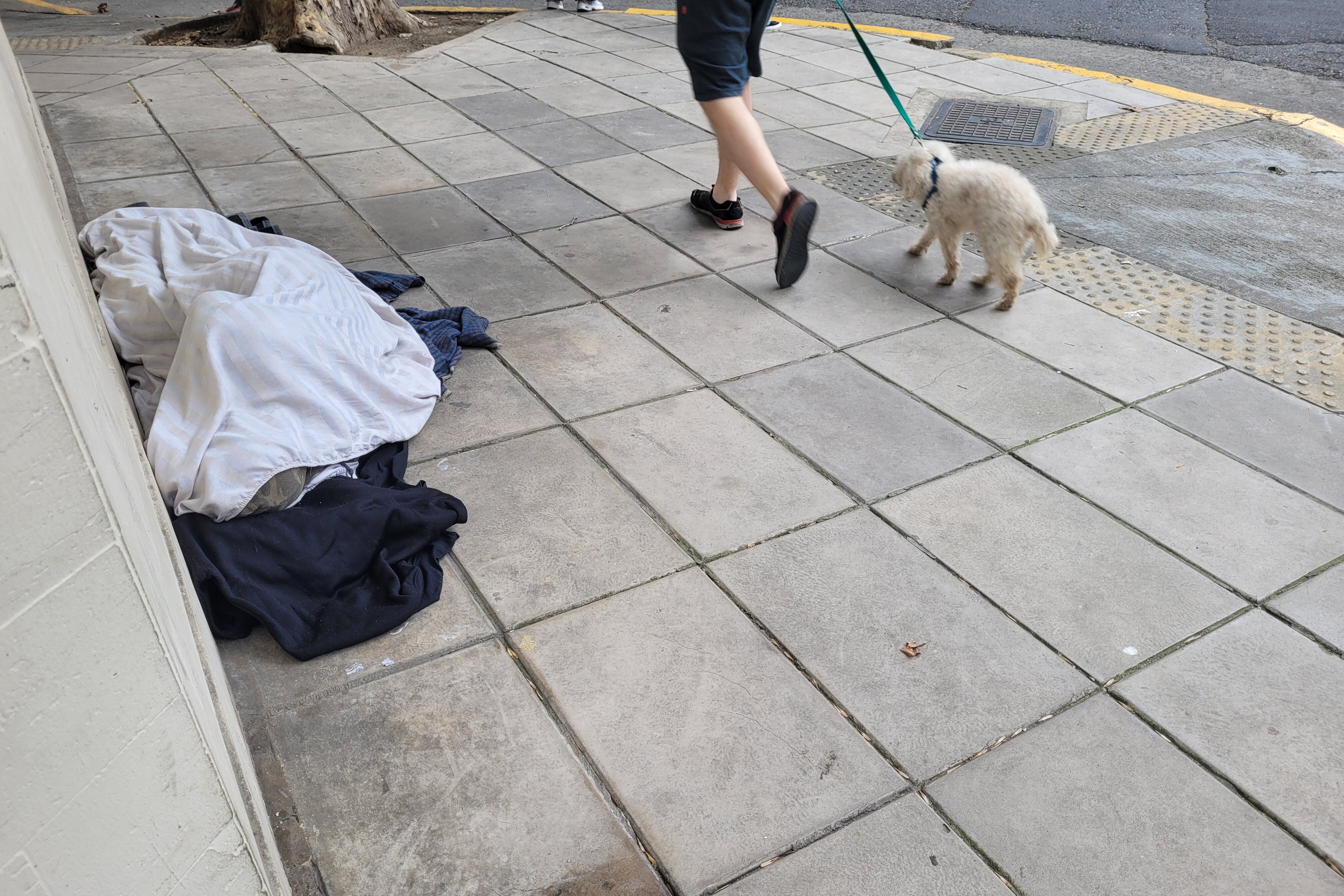 Para la comida indispensable, un adulto necesita 162.554 pesos por mes.