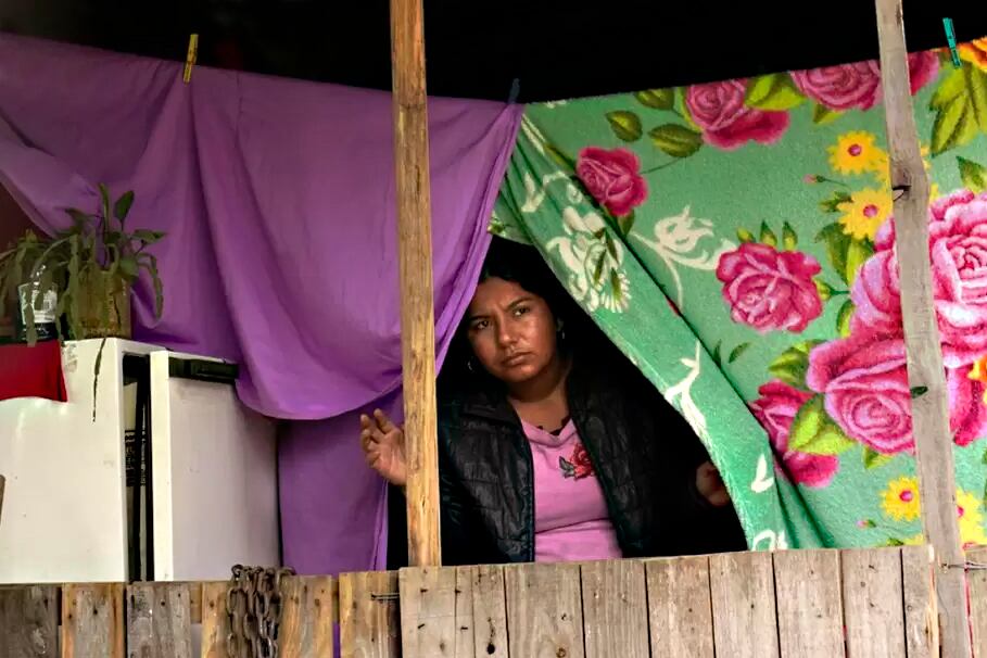 La hija de Laudelina Peña hizo aclaraciones que no terminan de aclarar.