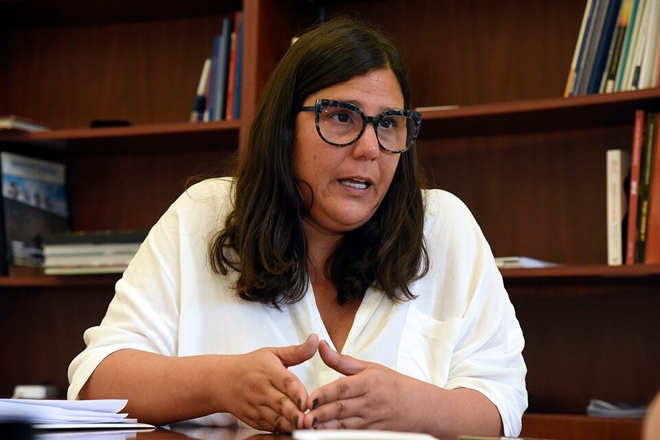 Marinaro: "Este es el mapa que nos permite ver qué está sucediendo".