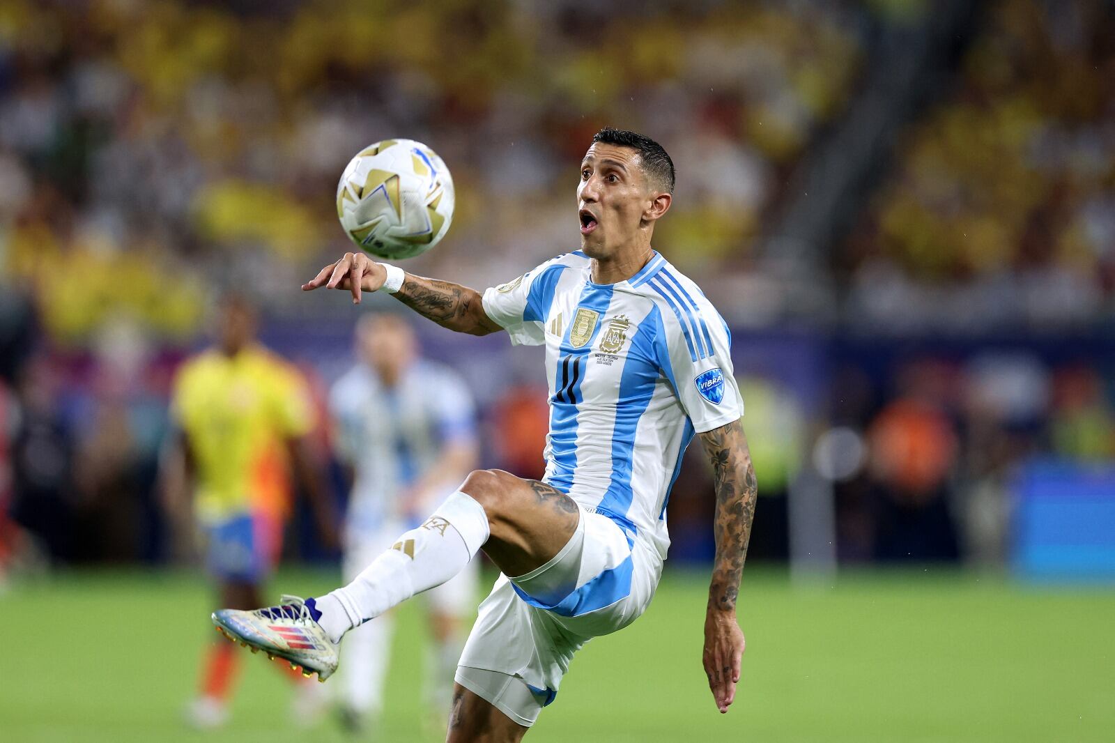 Di María está sin club, aunque su futuro seguiría estando en el Benfica