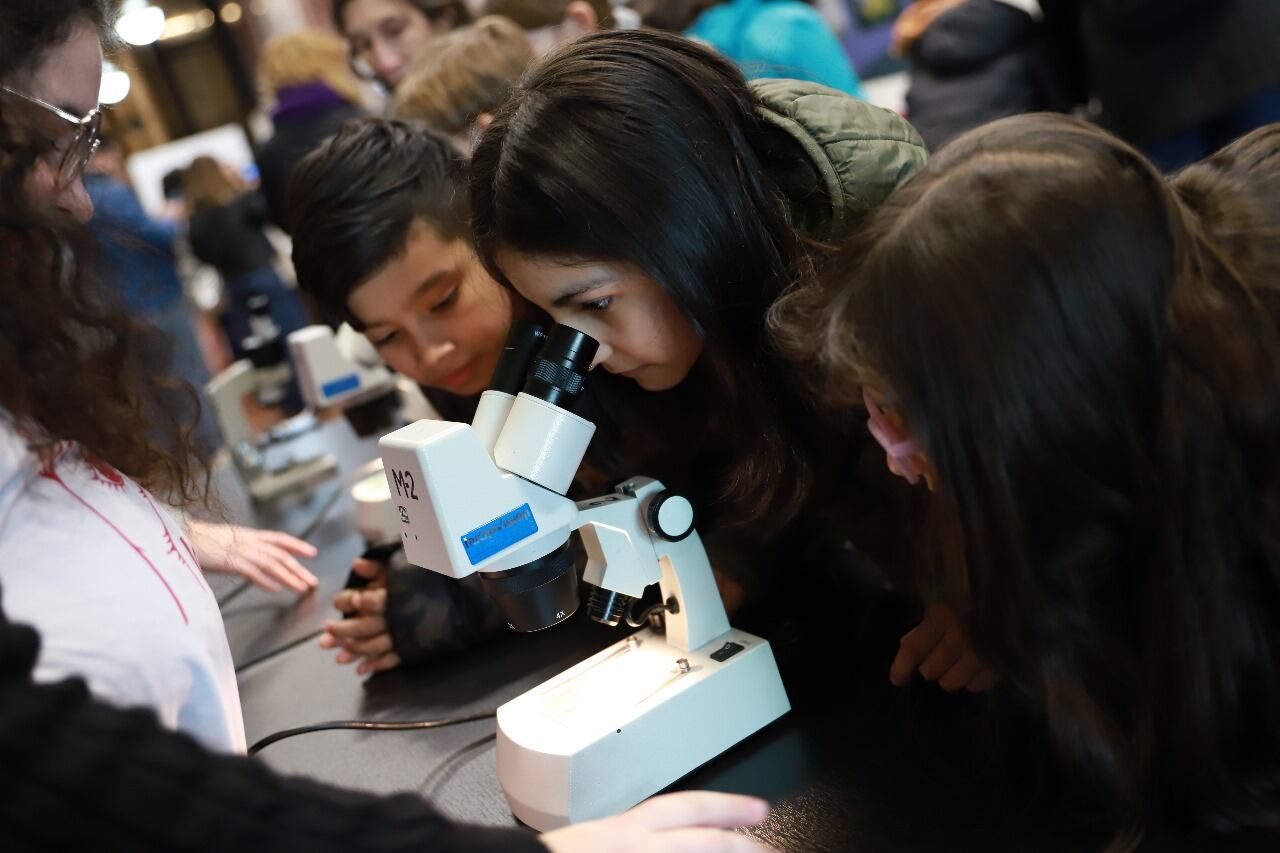 Las actividades arrancan el 7 de julio en San Martín 750.