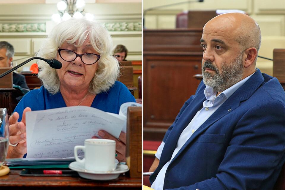 Los diputados Palo Oliver y Matilde Bruera piden derogar la ley.