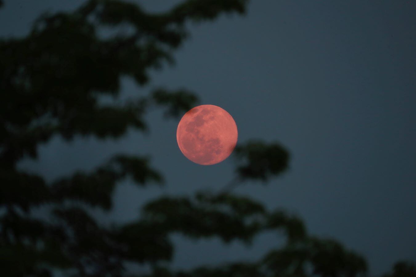 La Luna Rosa, un espectáculo para disfrutar.