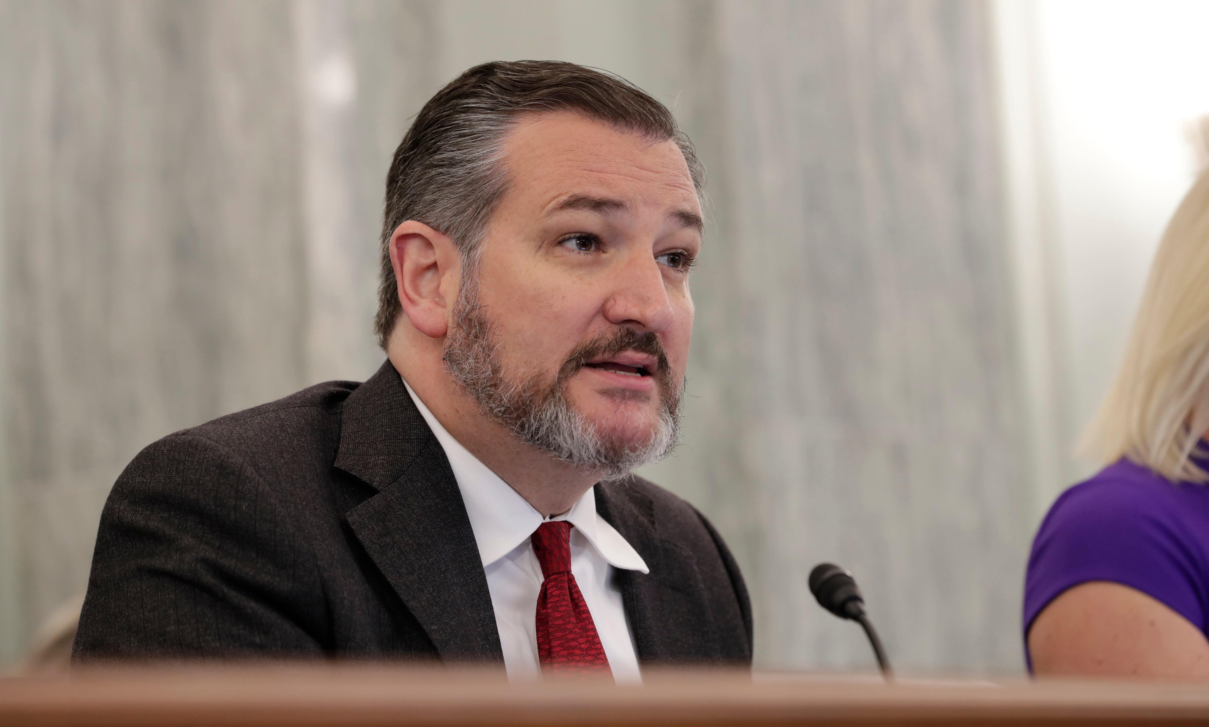 Senador republicano Ted Cruz / Glenn Fawcett, Gobierno de Estados Unidos