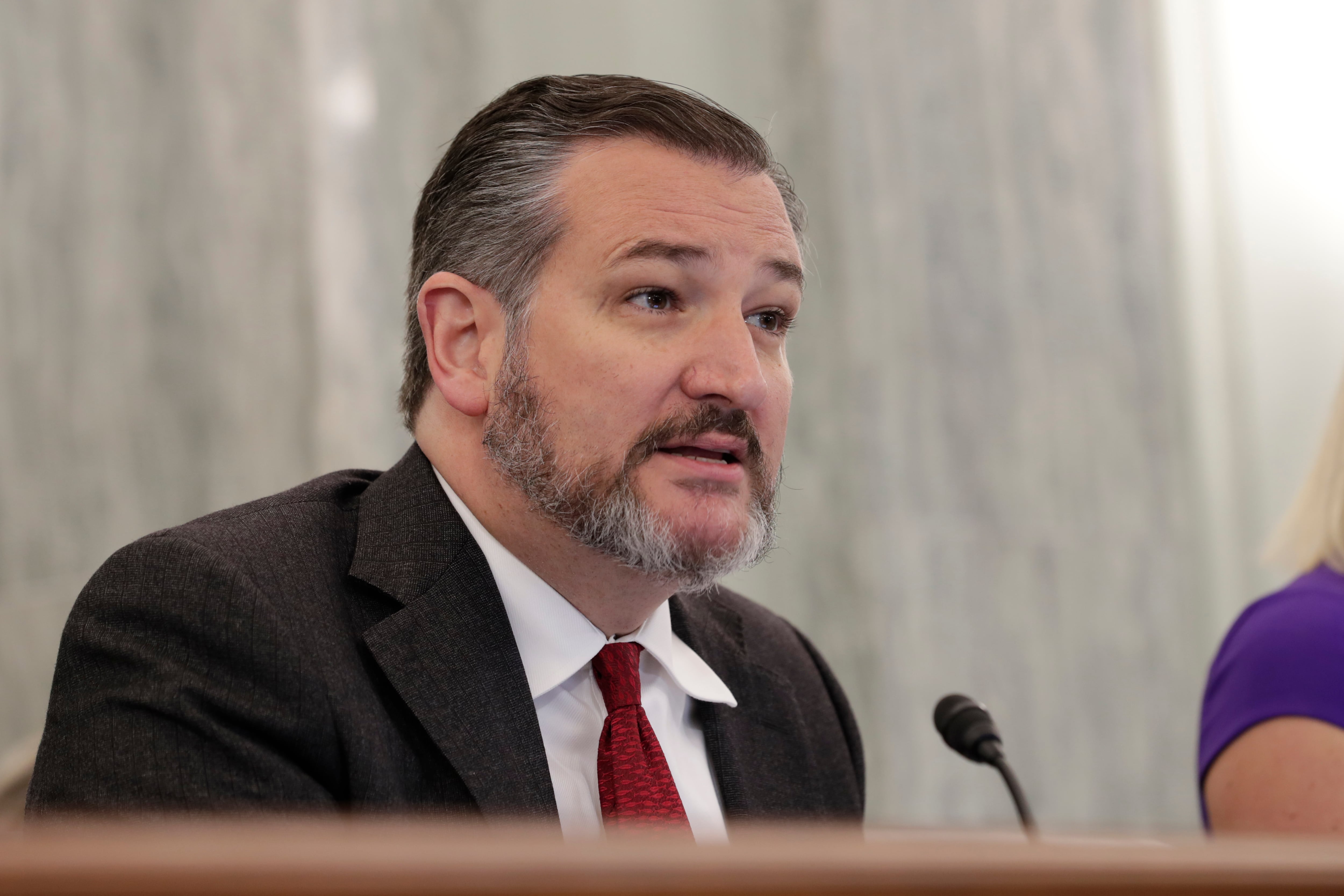Senador republicano Ted Cruz / Glenn Fawcett, Gobierno de Estados Unidos