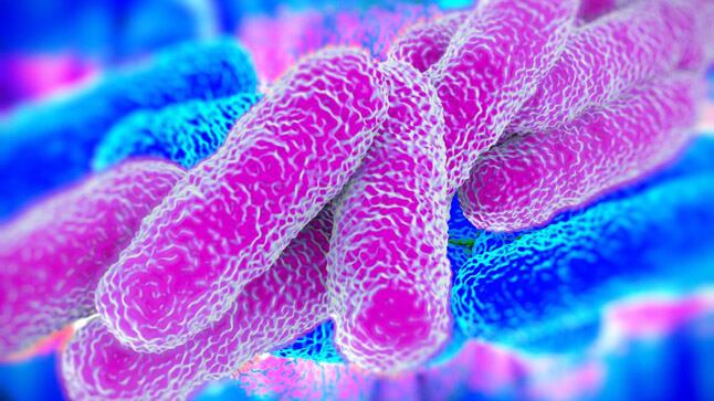 Barrido electrónico y microscópico de la bacteria de la legionella (Foto: Pixabay) 