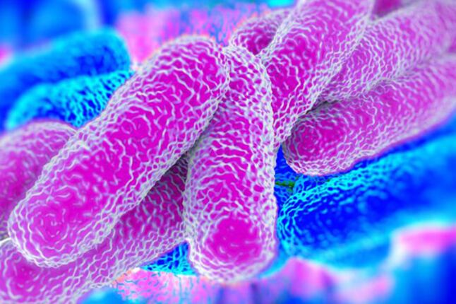 Barrido electrónico y microscópico de la bacteria de la legionella (Foto: Pixabay)
