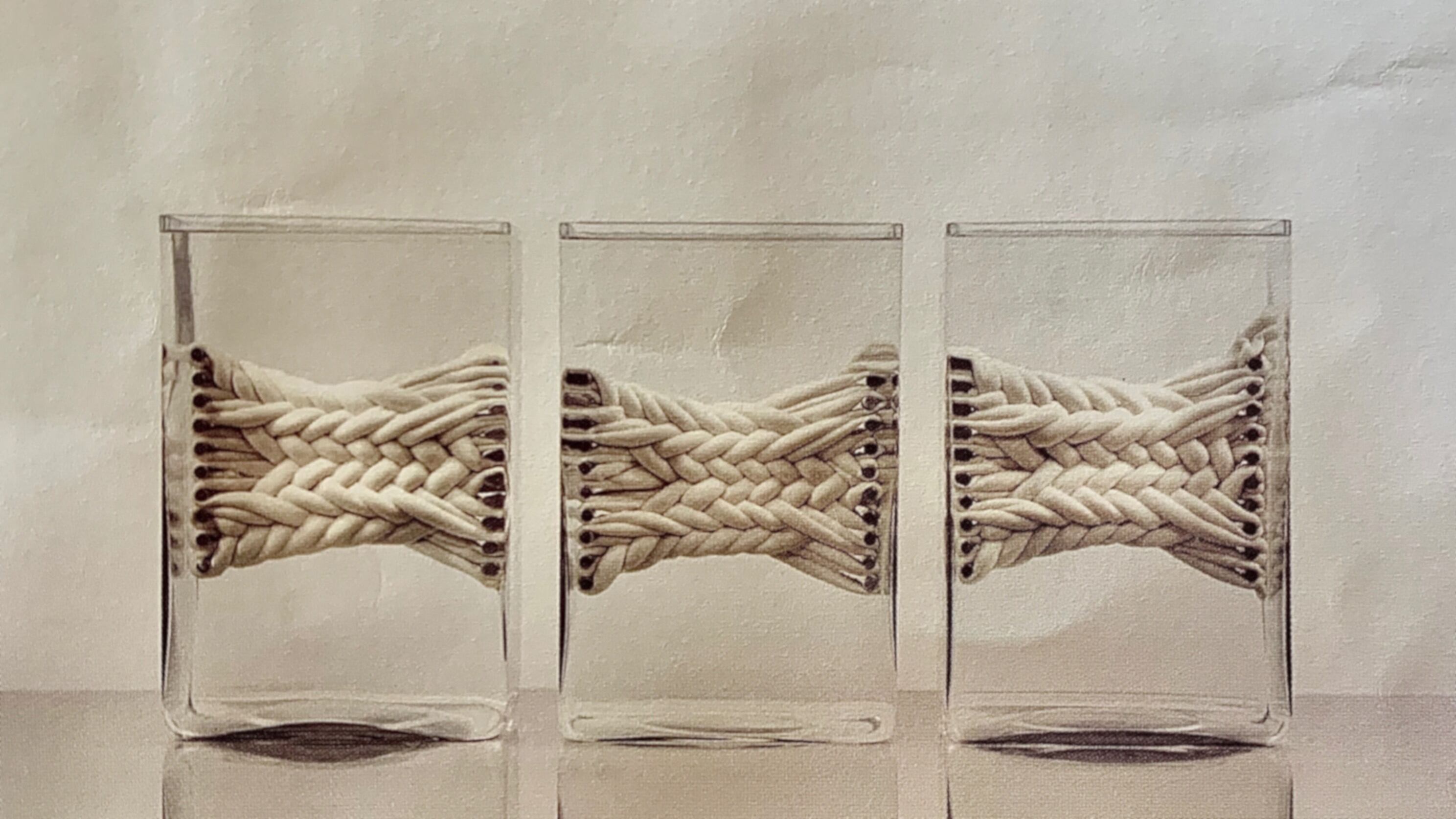 Trenzados (2002);  tripa de vaca, agua y formol, de Cristina Piffer.