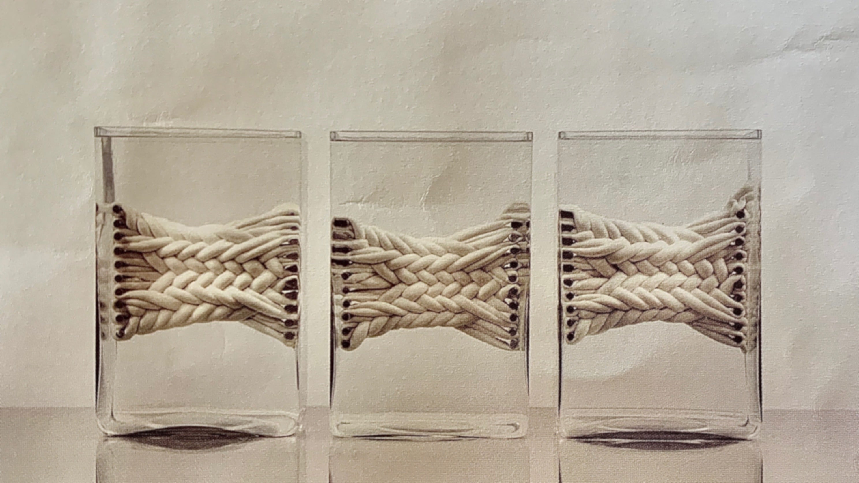 Trenzados (2002); tripa de vaca, agua y formol, de Cristina Piffer.