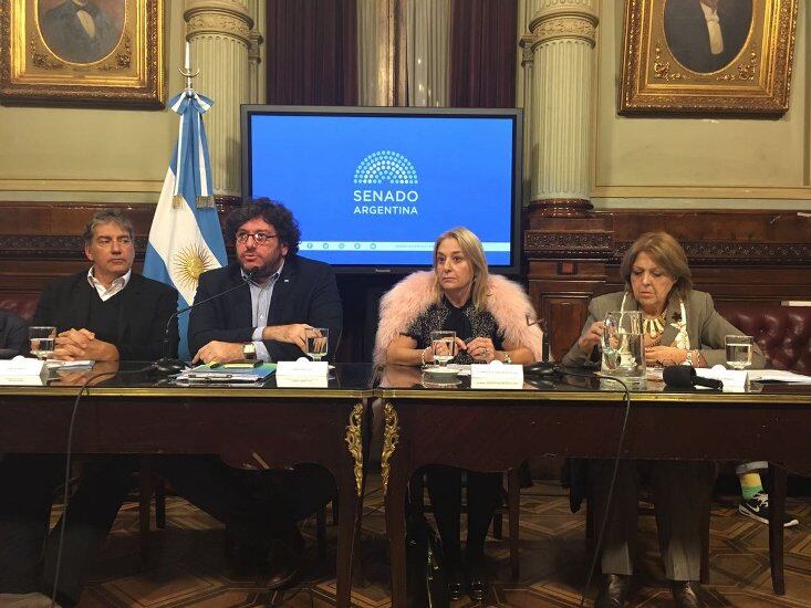 Avelluto, en su visita de esta tarde al Senado.