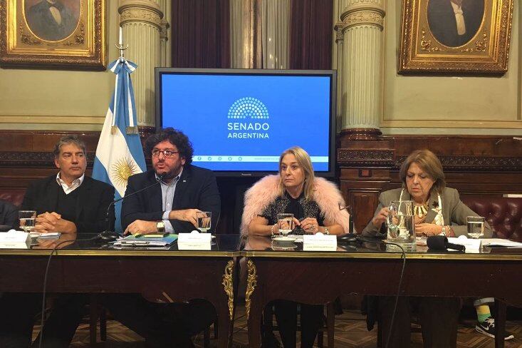 Avelluto, en su visita de esta tarde al Senado.